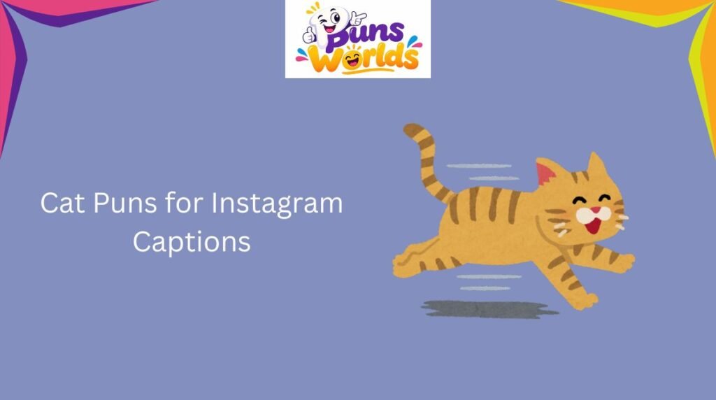 /cat-puns-for-instagram-captions/