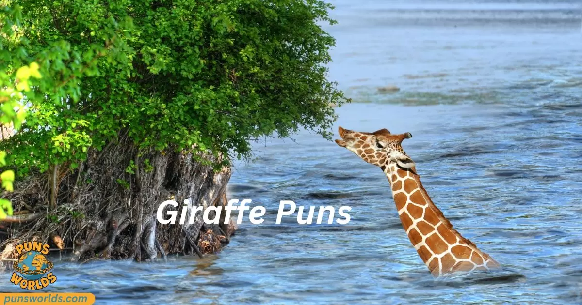 Giraffe Puns That Will Stretch Your Funny Bone