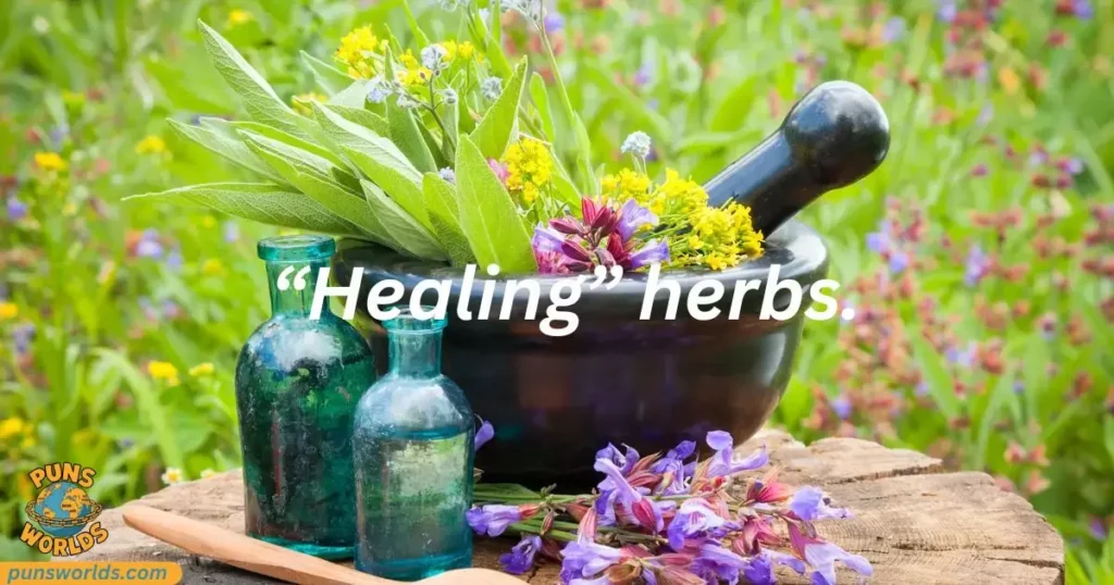 “Healing” herbs.