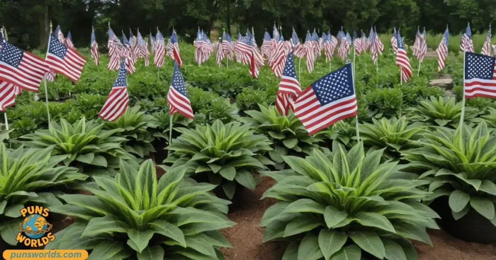 patriot plants