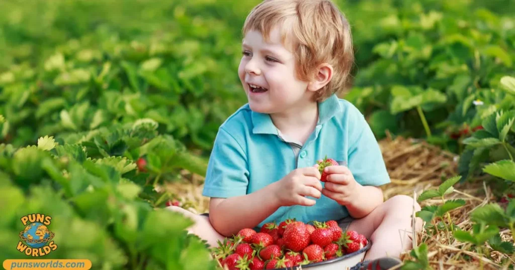 strawaberry cute companion