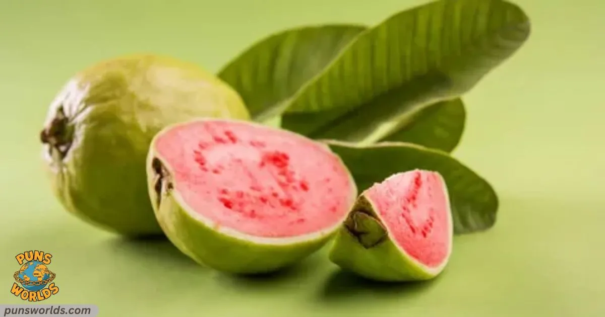 Guava Puns