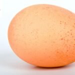 Egg Puns