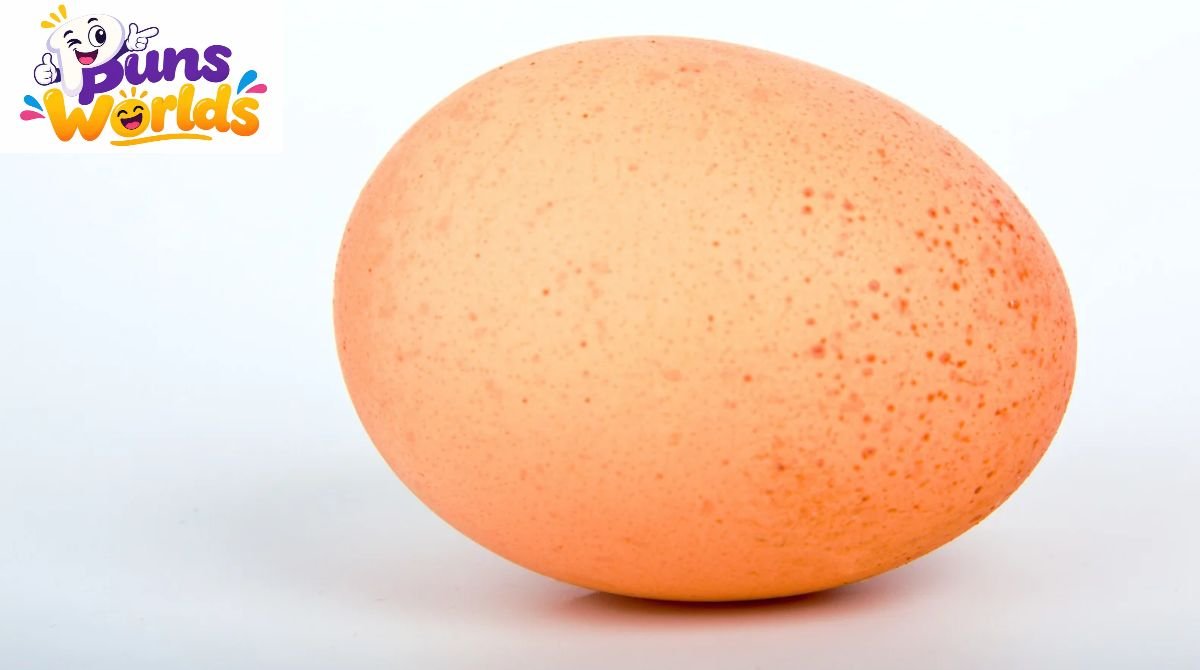 Egg Puns