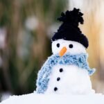 /snow-puns/