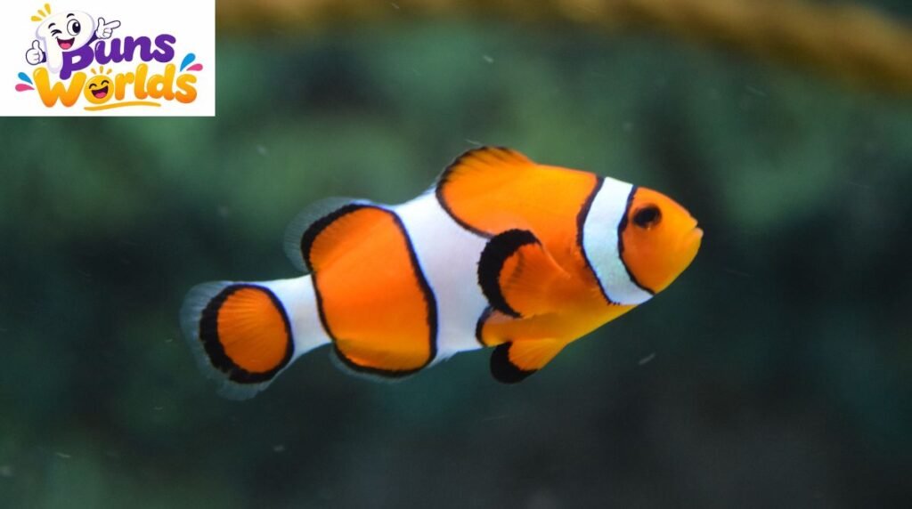 Fish Puns
