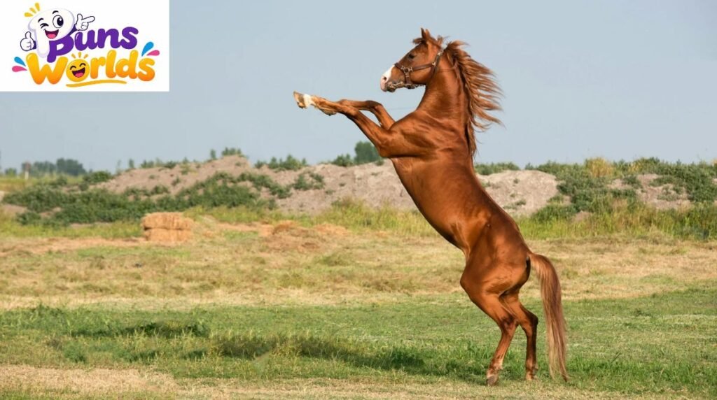Horse Puns