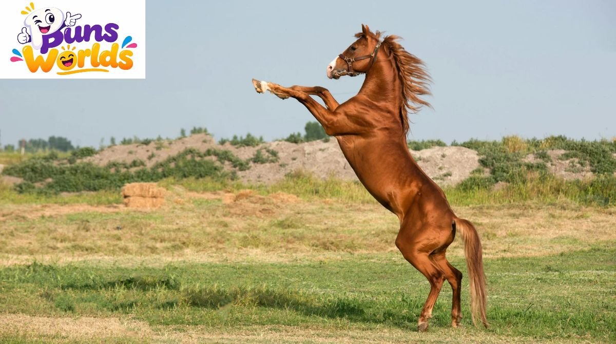 Horse Puns