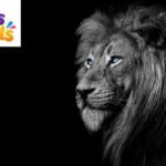 Lion Puns