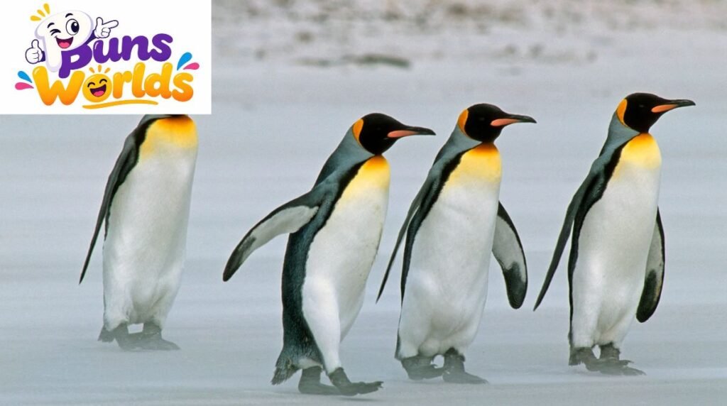 Penguin Puns