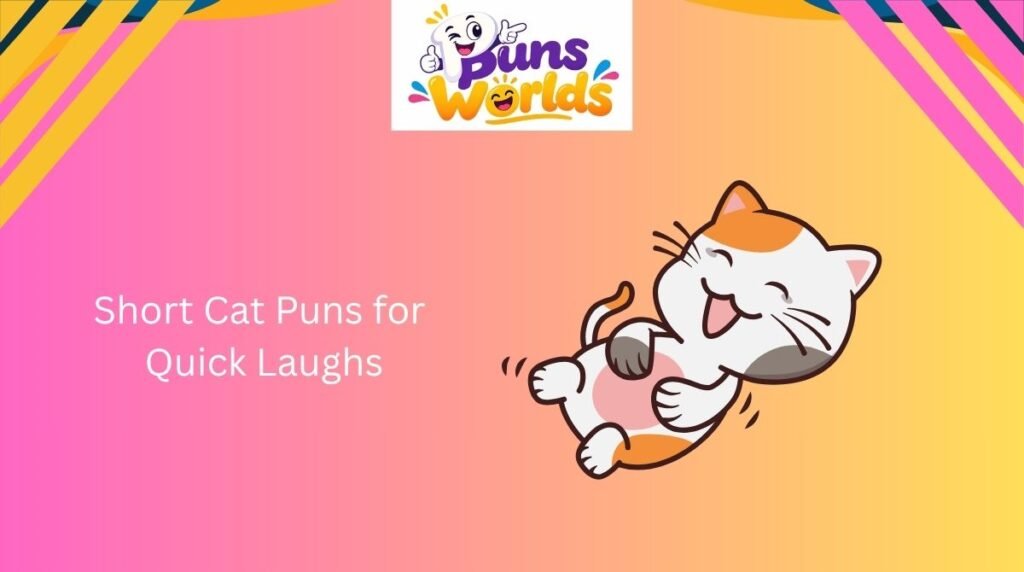 Short Cat Puns for Quick Laughs