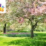 Spring Puns